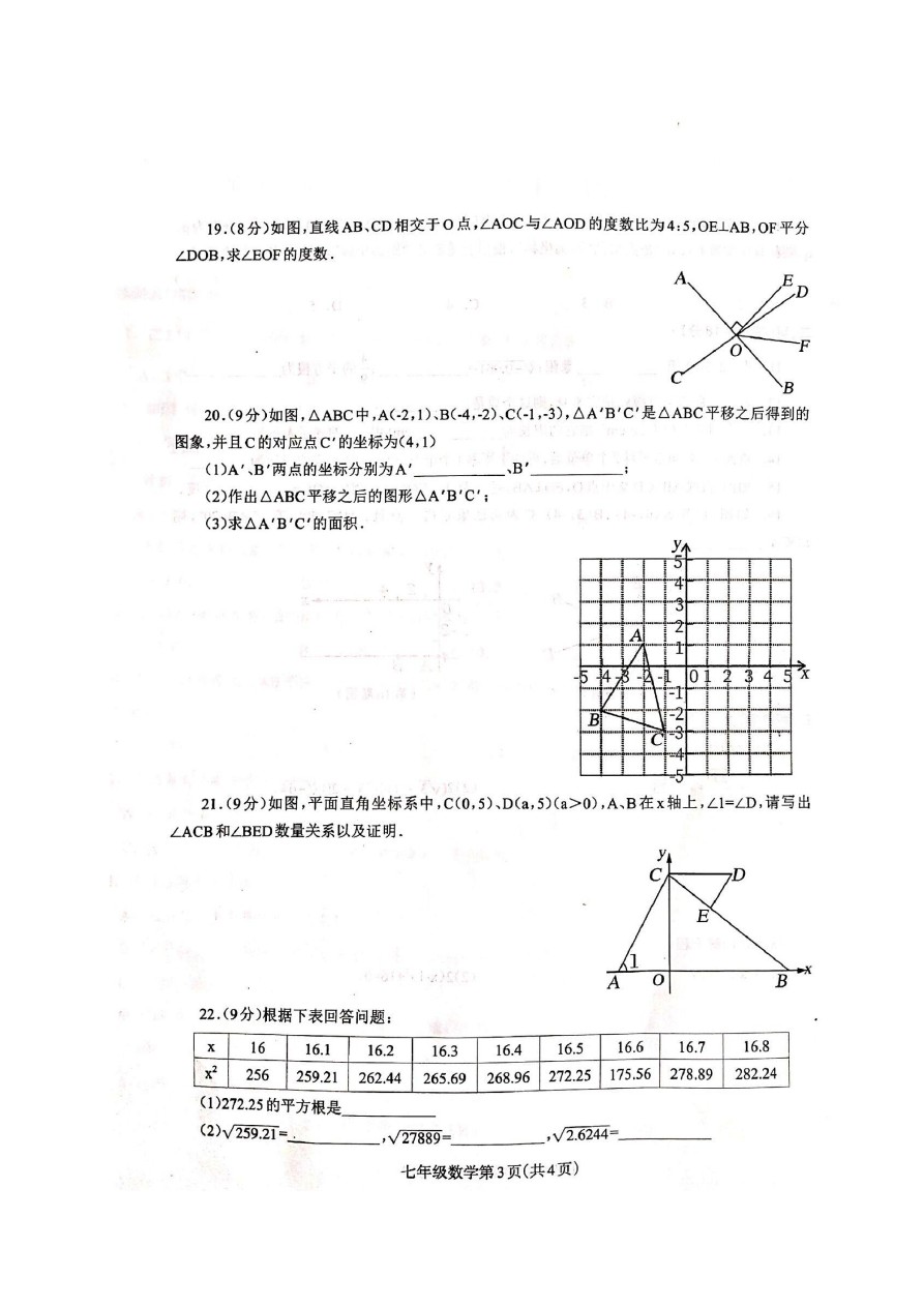 河南省济源市七年级下学期期中考试数学试题