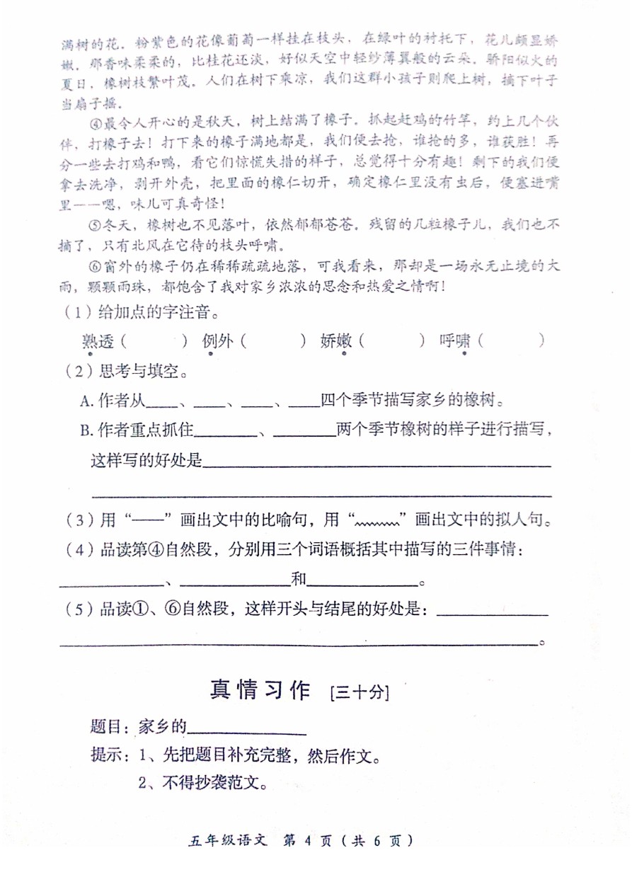 五年级下册语文试题-邓州市第二学期期中质量评估试卷  西师大版 (含答案)