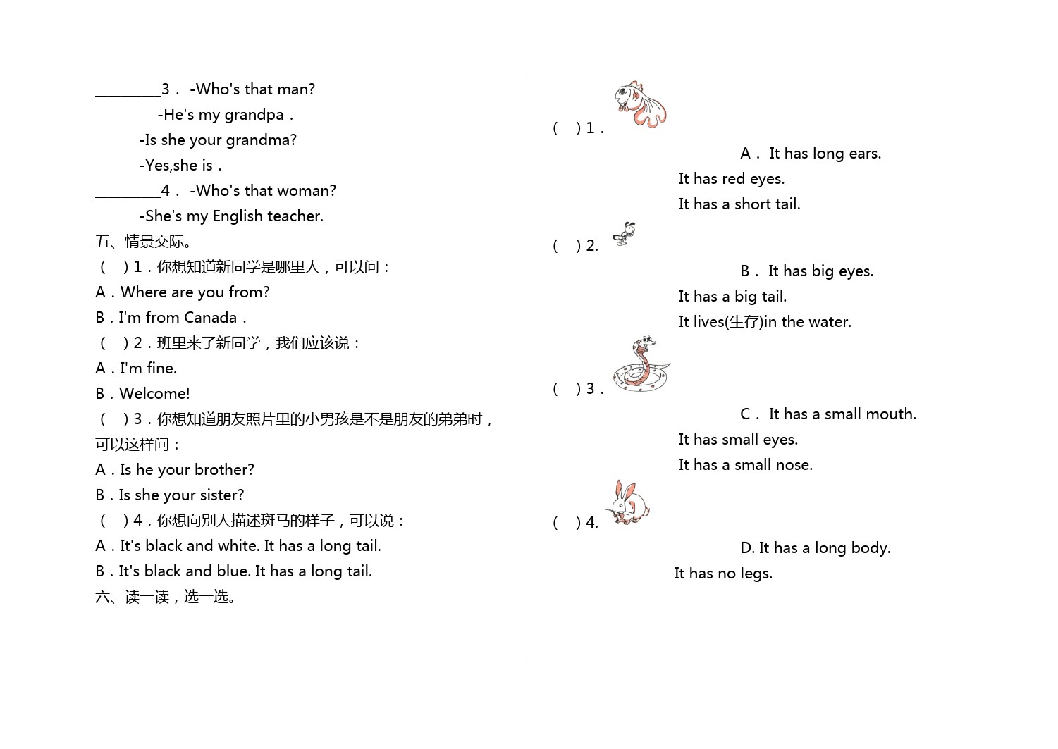 三年级下册英语试题-期中测试  教科版(广州)含答案