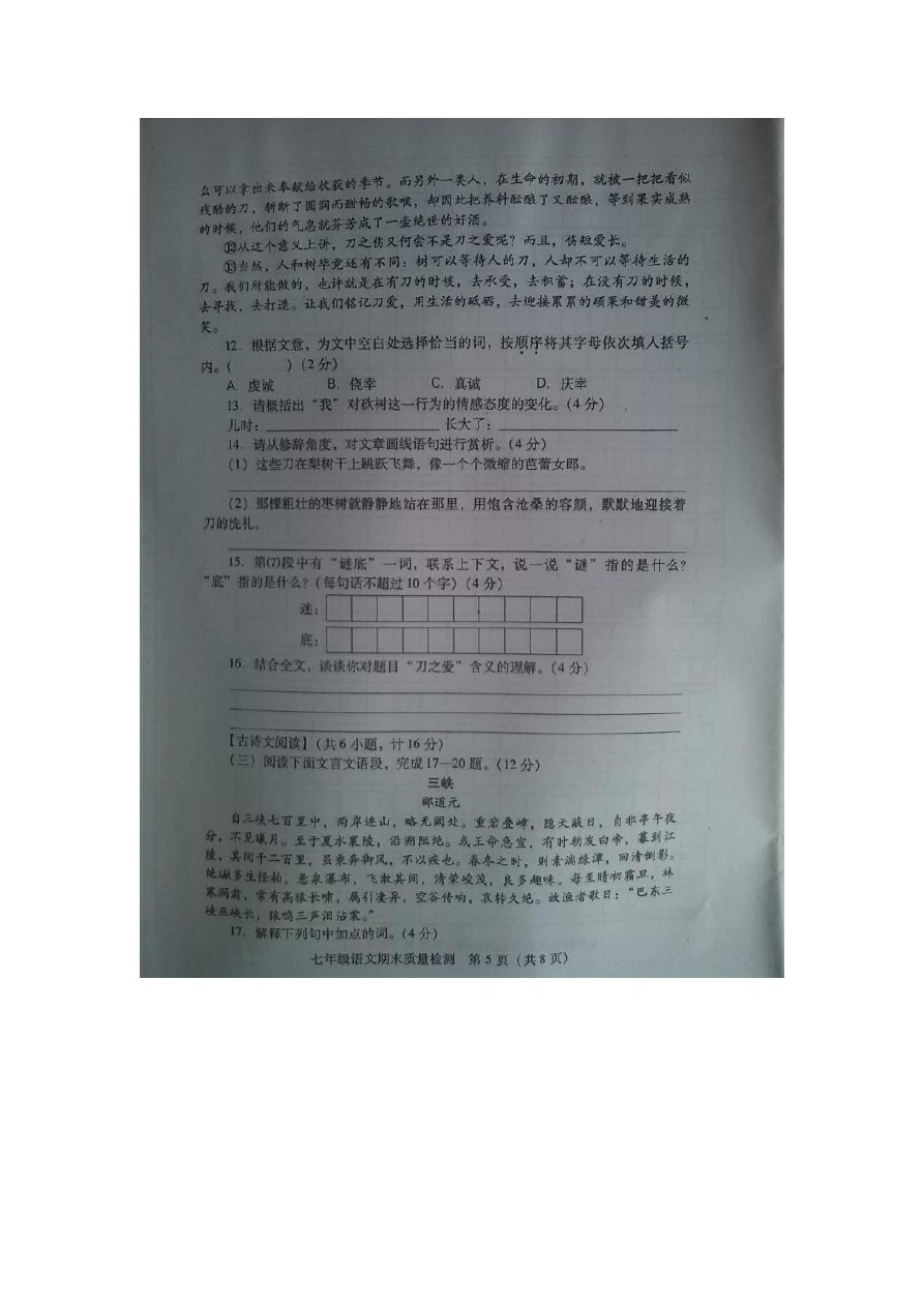 南京市联合体上学期期末考试七年级语文试卷