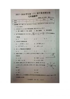 河南省驻马店市平舆县(下)期中素质测试卷 七年级数学