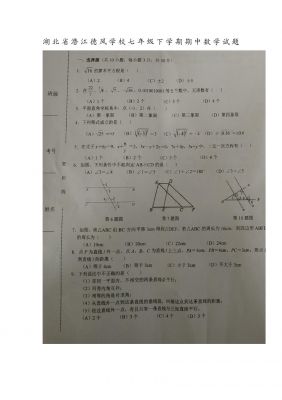 湖北省潜江德风学校七年级下学期期中数学试题